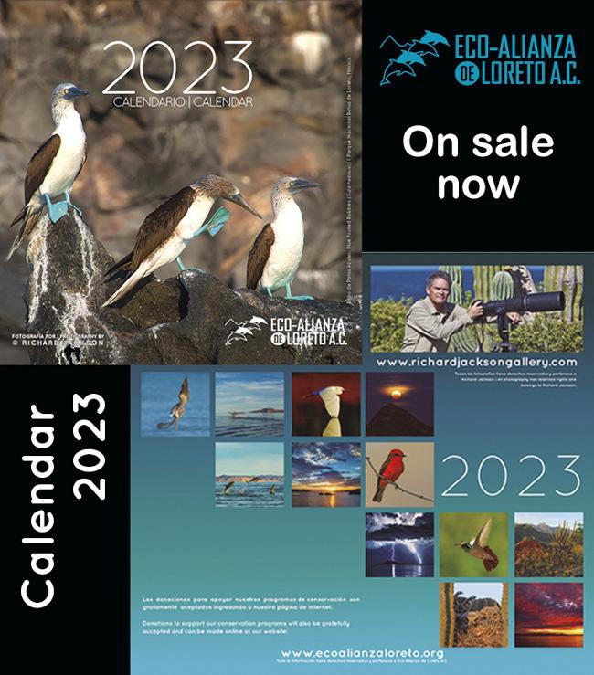 2023 Eco Alianza Calendar on sale now