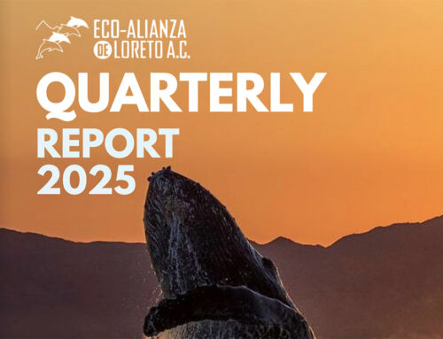The Desert Doesn’t Rest—and Neither Do We