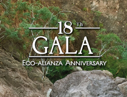 The 18th Anniversary Gala is just around the corner