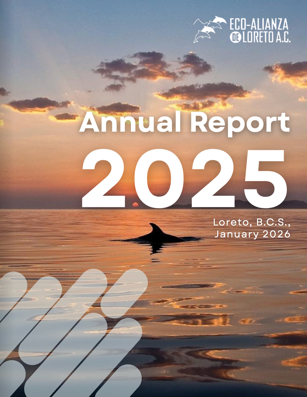 Eco Alianza 2025 Annual Report
