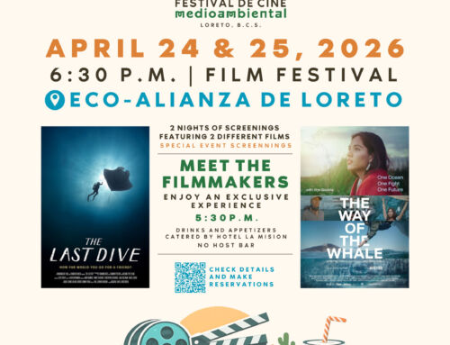You’re Invited: Loreto Film Festival + Program Highlights